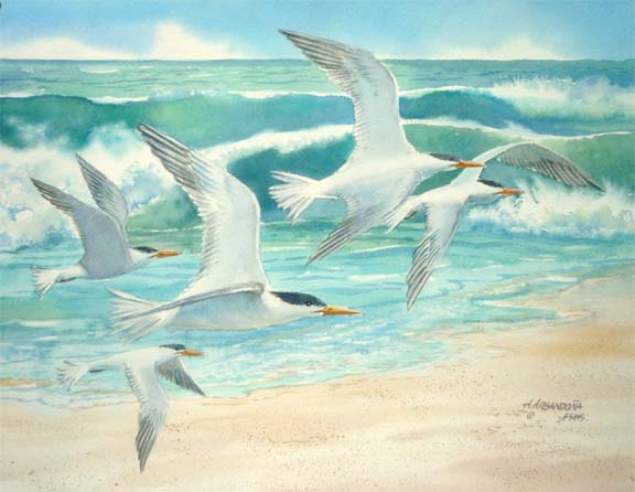 Watercolor paintings along the gulf coast by Augusto