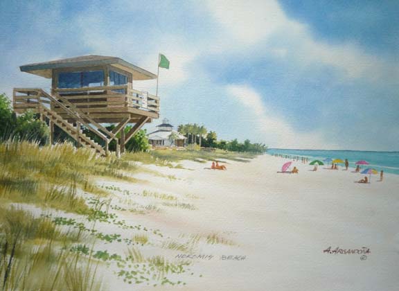 Florida Watercolors by Augusto Agrandona